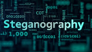 Celebrity Hide Secret Messages in Plain Sight with Steganography Wealth
