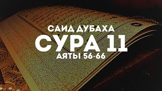 Чтец: Саид Дубаха Сура: 11 (худ) Аяты: 56-66