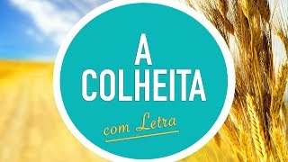 A COLHEITA | CD JOVEM | MENOS UM