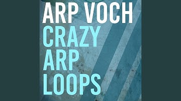 Crazy Arp Loops 02