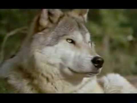 John Denver~~