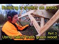 Building a overnight shelter on posts using mainly fresh green lumber direct from the forest part 3