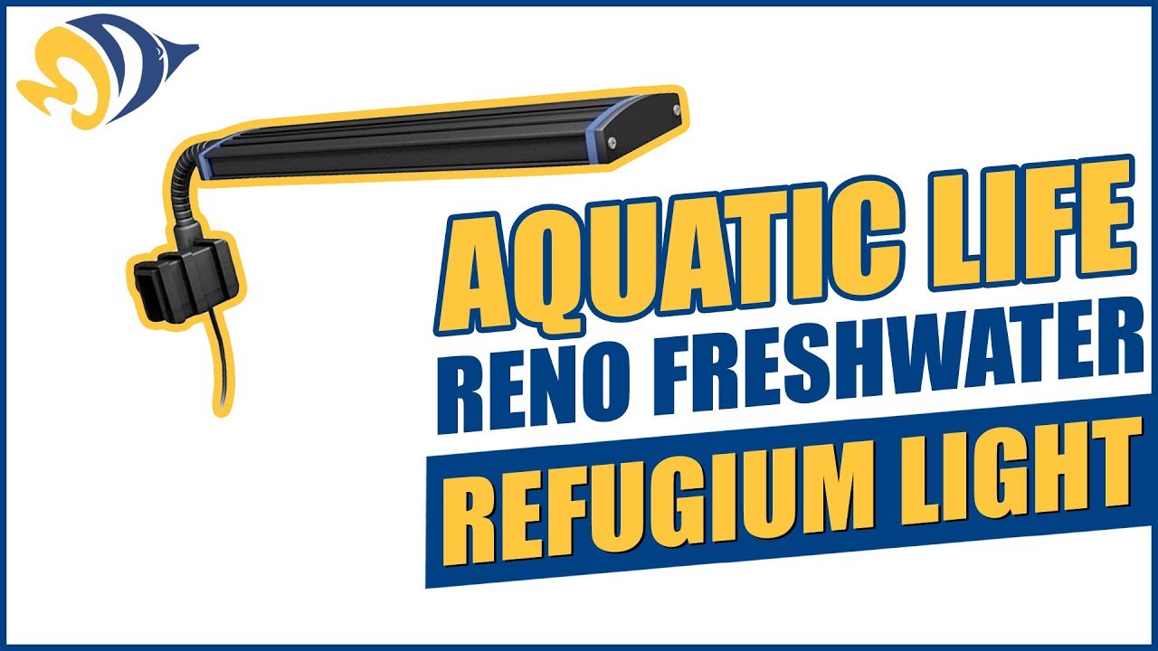 Aquatic Life Reno Freshwater / Refugium Light What YOU Need to Know