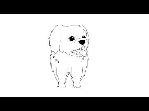 Whenever I see a Dog