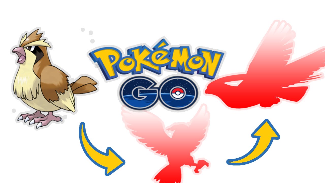 Pidgey Evolution Chart