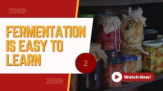 Types of Fermentation Explained | Lactic, Alcoholic, Acetic \& More | Food Science Made Simple