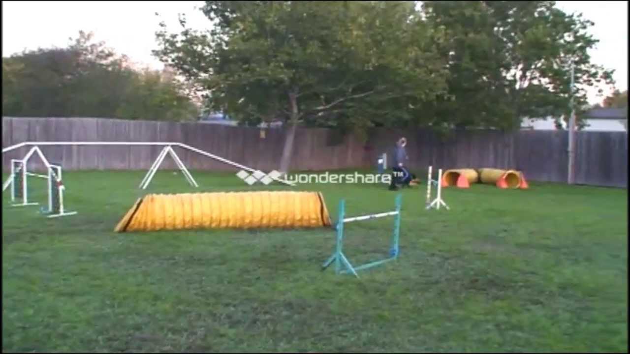 Decoy foundations 11 8 13