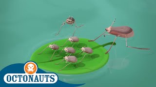 Octonauts - Hopping on Water | Cartoons for Kids | Underwater Sea Education