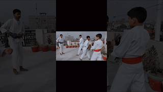 karate 🥋 #shorts