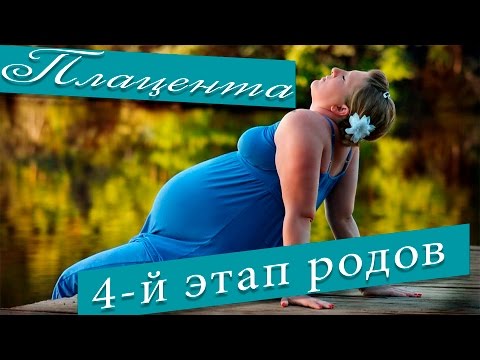 Плацента. Плацента при беременности. 4-й Этап родов.
