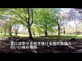 新緑の北大植物園 の動画、YouTube動画。