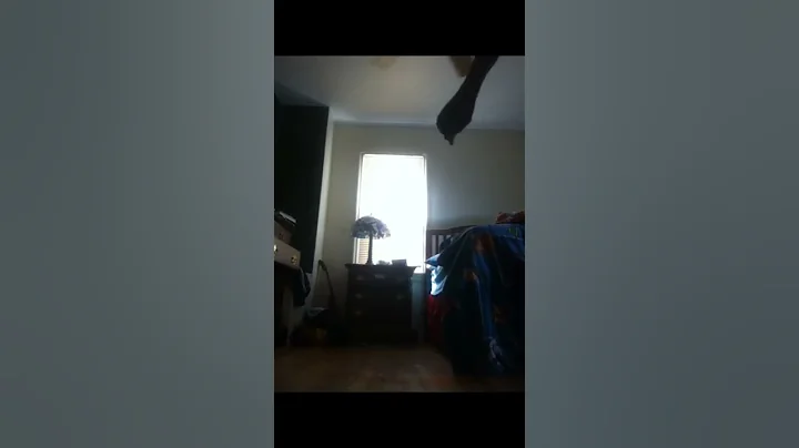 Craig Harrell moonwalking