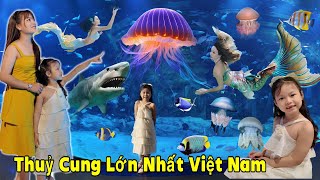 Lần Đầu Tiên Vào Thuỷ Cung Lớn Nhất Việt Nam