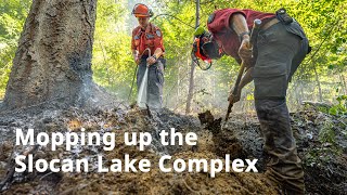 Importance of mop-up for wildfire containment