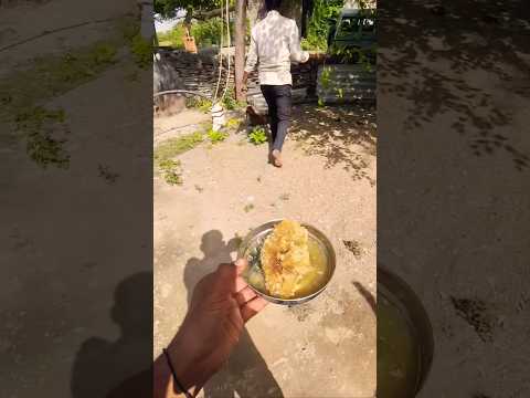 Madhu Makhi Ka Sahad Vairalshortkahana Mahuwa Madhumakkhi Madhumakkhi Sahad Protein 