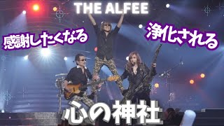 Let's Purify Our Souls at an ALFEE Concert‼️ Visiting the ALFEE