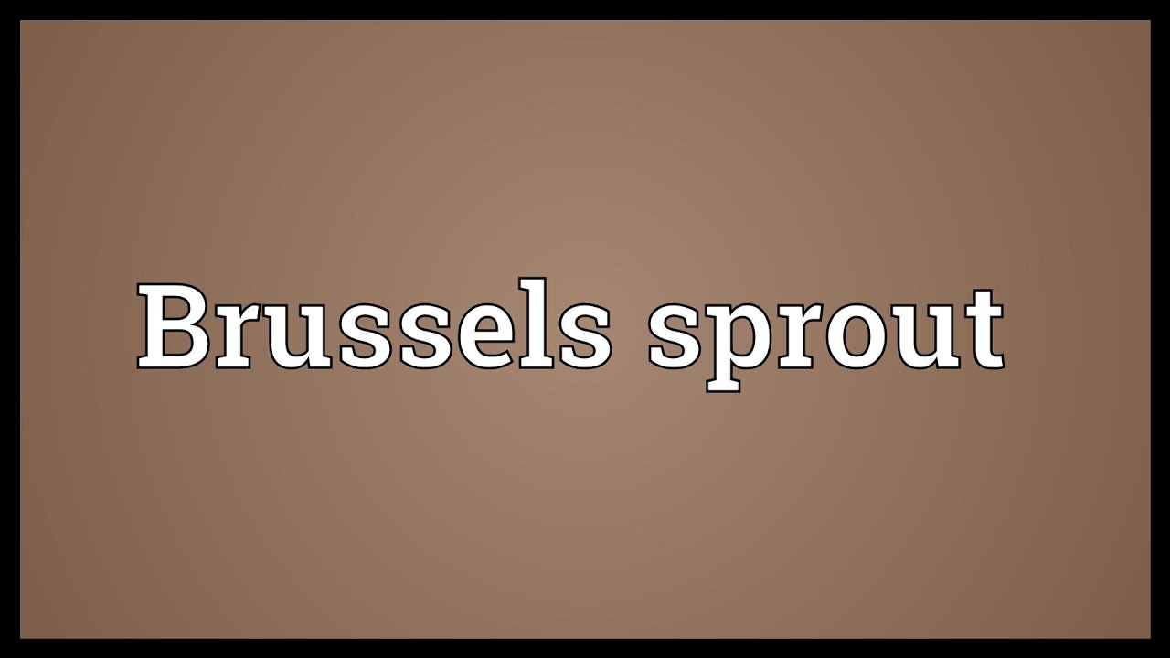 sprout meaning