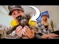 VLOG // MEETING THE NEW PUPPY!!