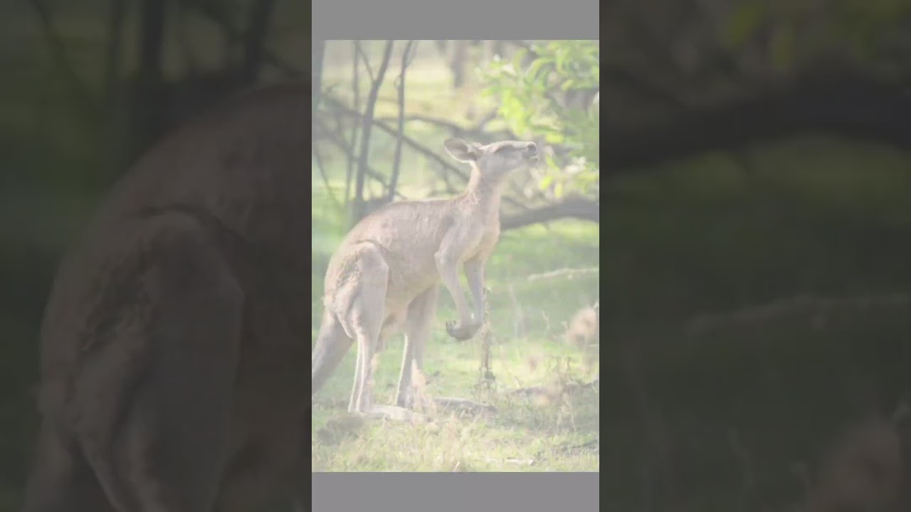 Kahani moral stories | 