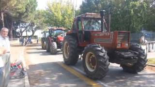 21° Festa Dell'Agricoltura a Mirano 2014