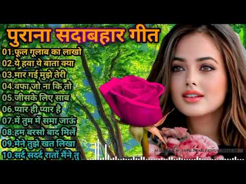 Phool Gulab Ka Mohammad Aziz RomantikLove Dj Song Dholki Jhankar Mix By DjRajan Basabasahi Nepal Old