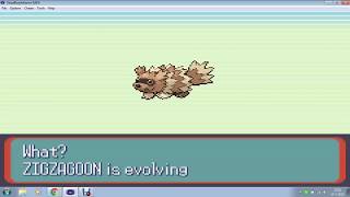 Pokemon Rubysapphire Zigzagoon Evolves Into Lindone