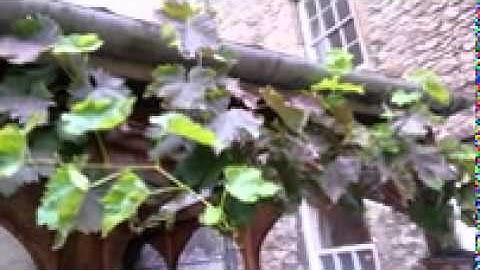 Removing subtitle with Telea and epsilon = 1