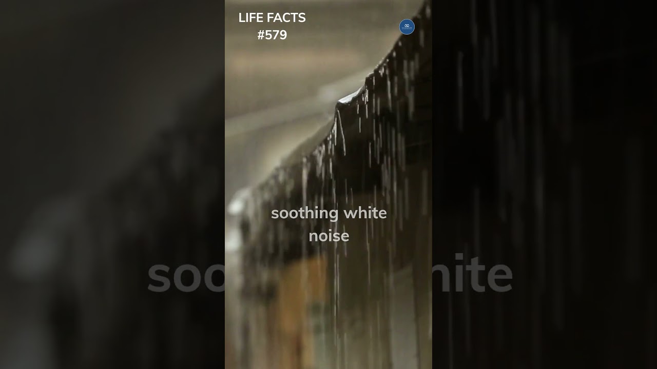 579. Counting Raindrops, Not Sheep: How Rain Sounds Can Help You Sleep!