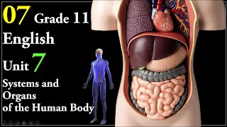 07 Grade 11 English Unit 7; Systems and Organs of the Human Body