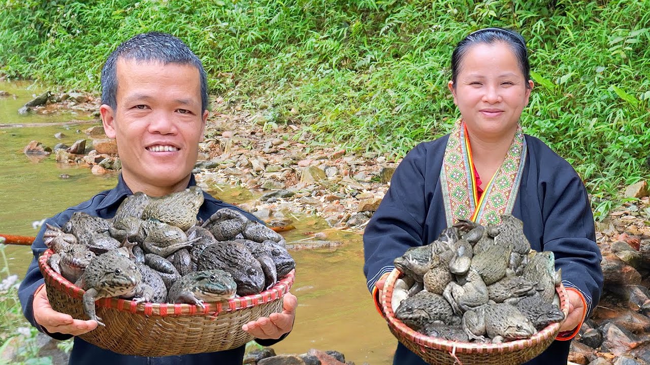 Dwarf Family Primitive Life: Catches frogs and raises them for breeding.