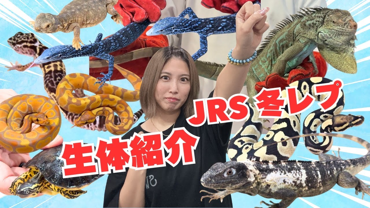 【JRS冬レプ】連れて行く生体紹介