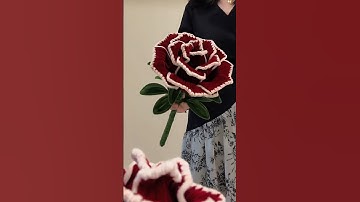 DIY giant rose flowers pipe cleaner #handmade #diy #gift #diyflower #diycrafts #flowercraft #flower