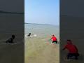 Net fishing in natural river #fishing #handfish #fishingequipment #fish #fishinggear