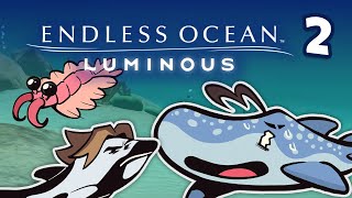 This Isdifferent Endless Ocean Luminous 2