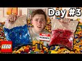 I Became A Lego Designer In 7 Days...