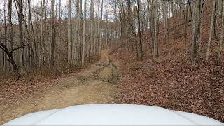 Holston Mountain Tennessee NFSR 87a Toyota Sequoia