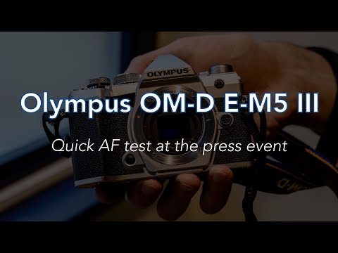 Olympus OM-D E-M5 III - Quick Autofocus Test