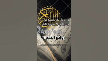 (..وما أنت بمسمع من في القبور ٢٢) سورة فاطر#قناة_تلاوات_قارئ_من_اليمن#اكسبلور #تيك_توك