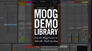 Moogerfooger Effects Plug-ins | MF-109S Saturator Installation