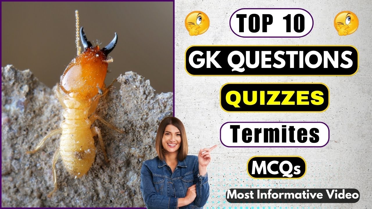 Test Your Knowledge On Termites With These 10  Quiz Questions | Helian GK Quiz