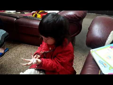 巧連智幼幼版3月份教五指謠