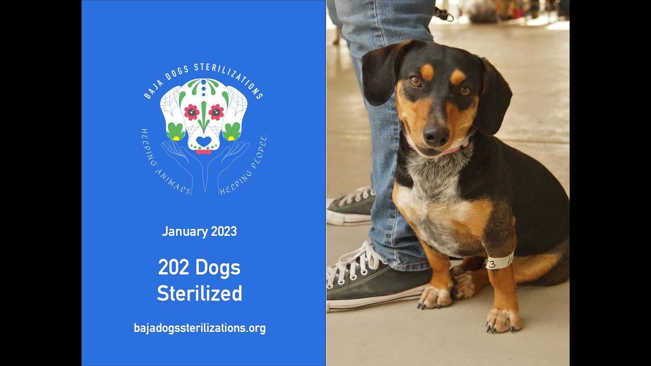 202 Sterilizations Completed in January 2024