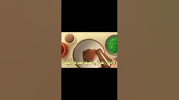 جزء من سورة الأعراف 🤍  #حَوراء #أطمئن #صلى_ع_النبى #ستوريات_دينية #توعيه #نصائح #قرآن