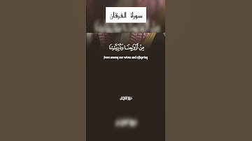 "سورة الفرقان القرآن الكريم" #allah #quran #قرآن #القرآن_الكريم #ياسر_الدوسري