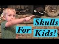 Animal skulls for kids! 🥰