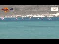 TURKEY 2013 1 2 PGM