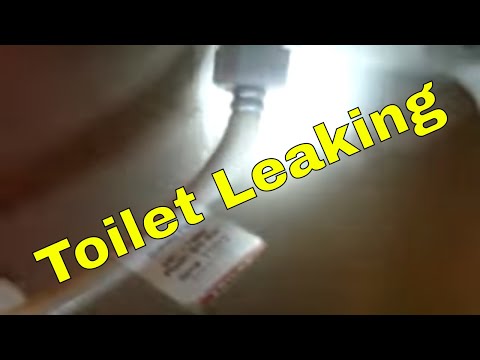Toilet Leaking ?