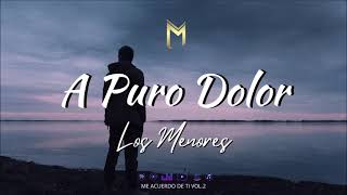 Video thumbnail of "A Puro Dolor - Los Menores"
