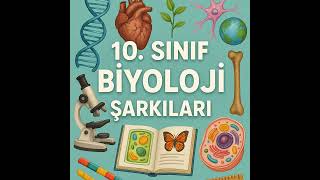 id02499 10. Sınıf Biyoloji Yaşamın Zenginliği Biyolojik Çeşitliliğin Önemi ve Koruma Strateji kapak görseli