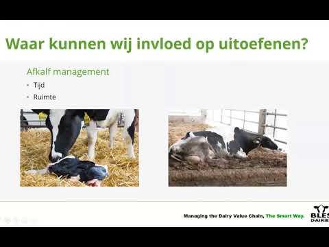 Vruchtbaarheid - Tips en tricks tijdens de vrijwillige wachtperiode